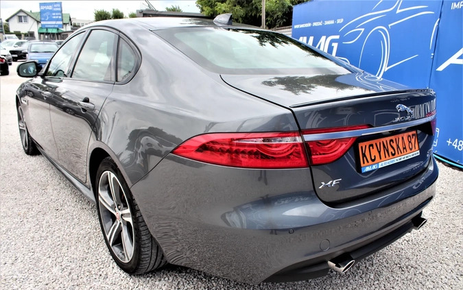Jaguar XF cena 117800 przebieg: 22000, rok produkcji 2018 z Nowy Targ małe 529